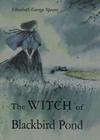 The Witch of Blackbird Pond: A Newbery Award Winner Cover Image