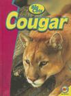 Cougar (Big Cats) By Tatiana Tomljanovic, Megan Cuthbert Cover Image
