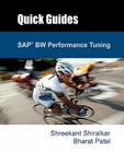 SAP Bw Performance Tuning (Quick Guides) Cover Image
