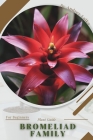 Bromeliad Family: Prodigy Petal, Plant Guide By Andrey Lalko Cover Image
