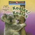 Koalas / Koalas By Kathleen Pohl Cover Image