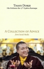 A Collection of Advice By His Holiness the 17th Karm Dorje, Thaye Cover Image