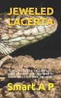 Jeweled Lacerta: Jeweled Lacerta: The Complete Guide on Everything You Need to Know about the Book and More Cover Image