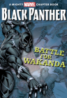 Black Panther: The Battle for Wakanda (A Mighty Marvel Chapter Book) Cover Image