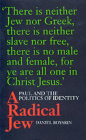 A Radical Jew: Paul and the Politics of Identity (Contraversions: Critical Studies in Jewish Literature, Culture, and Society #1) By Daniel Boyarin Cover Image