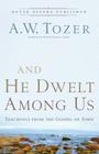 And He Dwelt Among Us: Teachings from the Gospel of John By A. W. Tozer, James L. Snyder (Editor) Cover Image