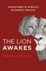 The Lion Awakes: Adventures in Africa's Economic Miracle By Ashish J. Thakkar Cover Image