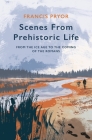 Scenes From Prehistoric Life: From the Ice Age to the Coming of the Romans By Francis Pryor Cover Image