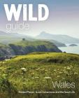 Wild Guide Wales: Hidden Places, Great Adventures & the Good Life (Wild Guides) By Daniel Start Cover Image