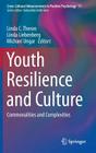 Youth Resilience and Culture: Commonalities and Complexities (Cross-Cultural Advancements in Positive Psychology #11) Cover Image