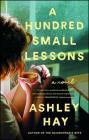 A Hundred Small Lessons: A Novel Cover Image