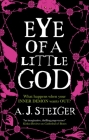 Eye of a Little God By A. J. Steiger Cover Image