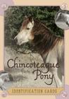 Chincoteague Pony Identification Cards, Set 2 By Lois Szymanski, Linda Kantjas (Photographer) Cover Image