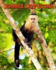 Scimmia cappuccina: Fantastici fatti e immagini By Pam Louise Cover Image