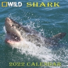 Shark Calendar 2022: SHARK calendar 2022 
