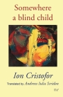 Somewhere a blind child Cover Image