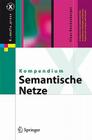 Kompendium Semantische Netze: Konzepte, Technologie, Modellierung (X.Media.Press) By Klaus Reichenberger Cover Image