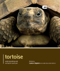 Tortoise (Pet Expert) Cover Image