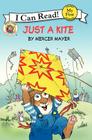 Little Critter: Just a Kite (My First I Can Read) By Mercer Mayer, Mercer Mayer (Illustrator) Cover Image