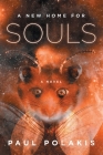 A New Home for Souls: An Irksome Flaw in the Design of Intelligence By Paul Polakis Cover Image