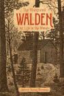 The Illustrated Walden: Or, Life in the Woods Cover Image