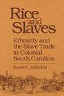 Rice and Slaves: Ethnicity and the Slave Trade in Colonial South Carolina (Blacks in the New World) By Daniel C. Littlefield Cover Image