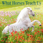 What Horses Teach Us 2023 Wall Calendar By Willow Creek Press Cover Image