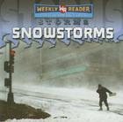 Snowstorms By Jim Mezzanotte Cover Image