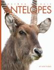 Antelopes (Amazing Animals) Cover Image