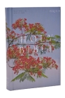 NRSV Catholic Edition Bible, Royal Poinciana Hardcover (Global Cover Series): Holy Bible Cover Image