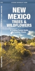 New Mexico Trees & Wildflowers: A Folding Pocket Guide to Familiar Plants (Pocket Naturalist Guide) By James Kavanagh, Waterford Press, Raymond Leung (Illustrator) Cover Image