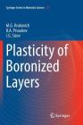 Plasticity of Boronized Layers Cover Image