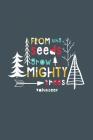 From Tiny Seeds Grow Mighty Trees Volunteer: A Gift Notebook for Volunteers Who Make a Difference in the Life of a Child Cover Image
