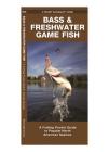 Bass & Freshwater Game Fish: A Folding Pocket Guide to Popular North American Species (Pocket Naturalist Guide) Cover Image