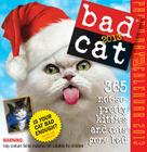 Bad Cat 2013 Page-A-Day Calendar By Workman Publishing Cover Image
