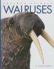 Walruses (Amazing Animals) By Valerie Bodden Cover Image