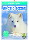 Arctic Foxes By Renata Marie Cover Image