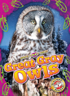 Great Gray Owls Cover Image
