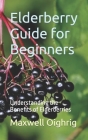Elderberry Guide for Beginners: Understanding the Benefits of Elderberries Cover Image