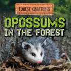 Opossums in the Forest By Sophie Washburne Cover Image