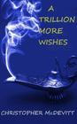 A Trillion More Wishes By Christopher McDevitt Cover Image