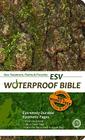 Waterproof New Testament with Psalms and Proverbs-ESV-Tree Bark By Bardin &. Marsee Publishing (Manufactured by) Cover Image