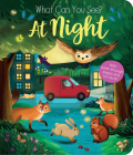 What Can You See? At Night Cover Image