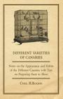 Different Varieties of Canaries - Notes on the Appearance and Habits of the Different Canaries with Tips on Preparing Them to Show By Cyril H. Rogers Cover Image