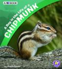 A Day in the Life of a Chipmunk: A 4D Book By Sharon Katz Cooper Cover Image