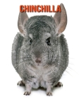 Chinchilla: Informations Etonnantes & Images By Pam Louise Cover Image