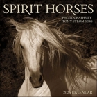 Spirit Horses 2025 Wall Calendar by Tony Stromberg By Tony Stromberg Cover Image