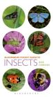 Pocket Guide to Insects (Pocket Guides) By Bob Gibbons, Jane Lawes (Series edited by) Cover Image