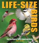 Life-Size Birds: The Big Book of North American Birds By Nancy J. Hajeski Cover Image