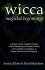 Wicca Magickal Beginnings: A Study of the Possible Origins of the Rituals and Practices Found in this Modern Tradition of Pagan Witchcraft and Ma By Sorita D'Este, David Rankine Cover Image